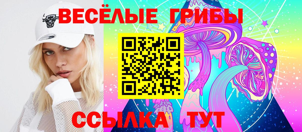 Галлюциногенные грибы Cubensis  Вход с VPN  Юрга  Галлюциногенные грибы MAGIC MUSHROOMS 