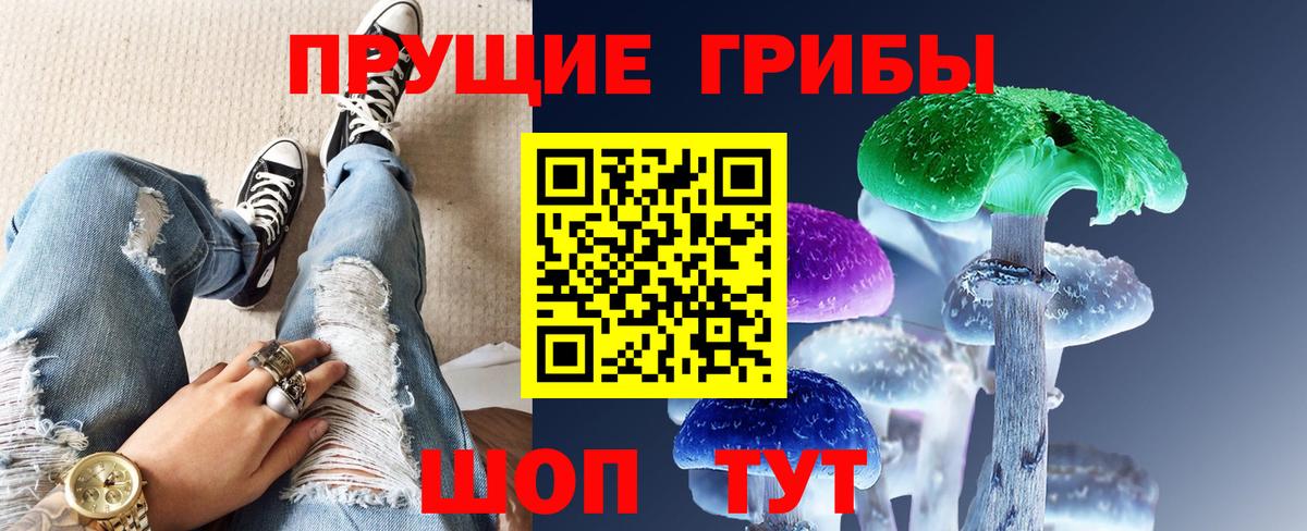 Псилоцибиновые грибы мицелий Юрга